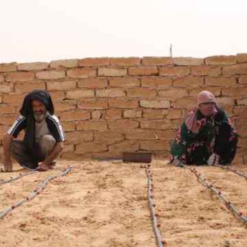 IMG_0117 La resolución del Consejo de Seguridad, una “salida en falso” para el Sahara Occidental