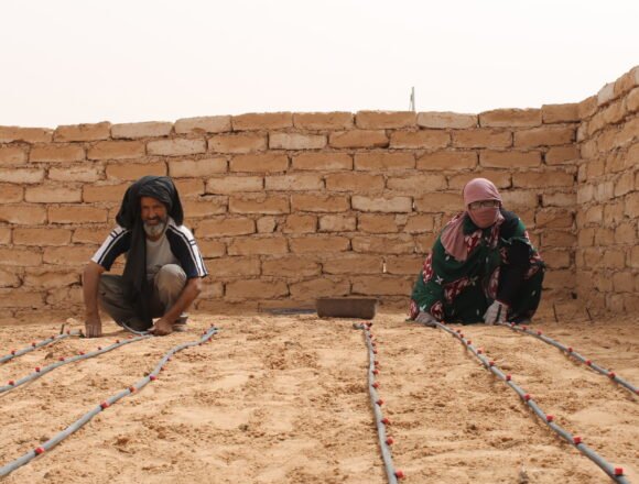 La resolución del Consejo de Seguridad, una “salida en falso” para el Sahara Occidental