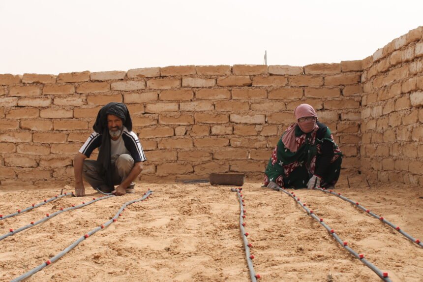 La resolución del Consejo de Seguridad, una “salida en falso” para el Sahara Occidental