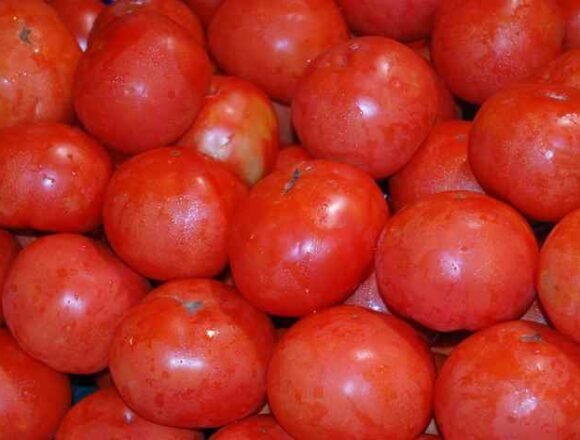 Imagen-tomates COAG urge al Parlamento Europeo a frenar el intento de la Comisión de blanquear el origen saharaui en el etiquetado agrícola