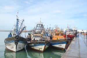 Recursos-naturales-Sahara-300x199-1 El rechazo a la explotación de los recursos del Sáhara Occidental debe defenderse también en los países que se benefician de ella | Sahara Press Service (SPS)