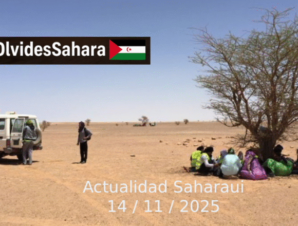 ZXDSWDFSWDF Noticias del SAHARA OCCIDENTAL – 14/11/2025 – La Actualidad Saharaui