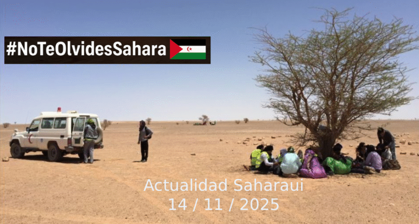 Noticias del SAHARA OCCIDENTAL – 14/11/2025 – La Actualidad Saharaui