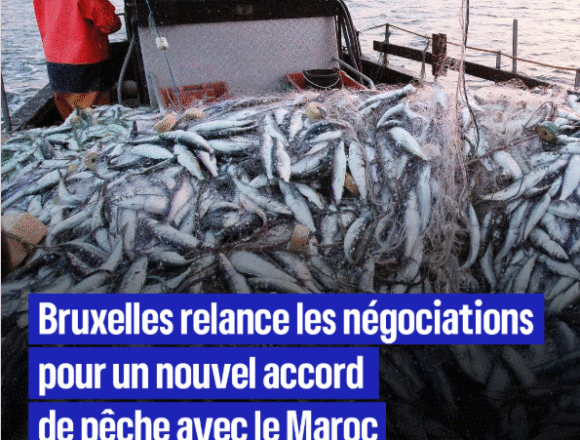 Zxc Bruxelles persiste et signe : vers un nouvel accord de pêche avec le Maroc, en violation du droit et du bon sens