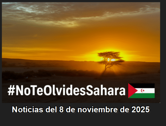asderfgh Noticias del SAHARA OCCIDENTAL – 8/11/2025 – La Actualidad Saharaui