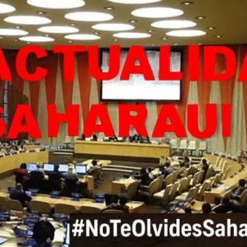 Noticias del SAHARA OCCIDENTAL – 26/11/2025 – La Actualidad Saharaui