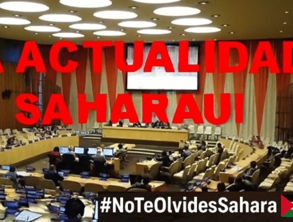 asdfghjk Noticias del SAHARA OCCIDENTAL – 26/11/2025 – La Actualidad Saharaui