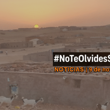 Noticias del SAHARA OCCIDENTAL – 9/11/2025 – La Actualidad Saharaui