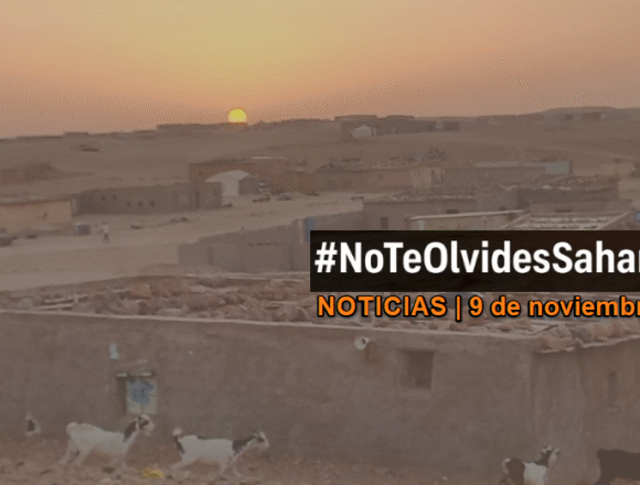 Noticias del SAHARA OCCIDENTAL – 9/11/2025 – La Actualidad Saharaui