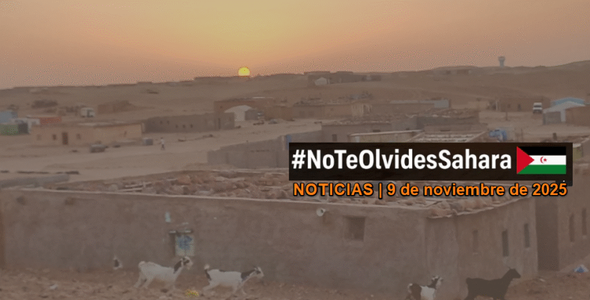 Noticias del SAHARA OCCIDENTAL – 9/11/2025 – La Actualidad Saharaui