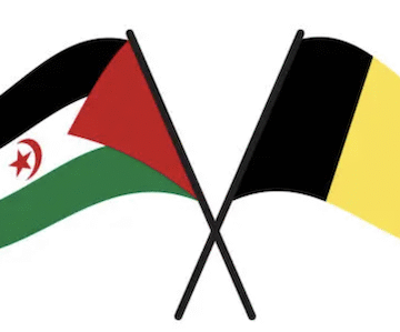 b12dff0e3f6d3c20ad866bdf3c5db1-31576 Lettre du président de l’EUCOCO et du Comité belge de soutien au peuple sahraoui Pierre Galand au ministre Maxime Prévot pour son soutien au « plan d’autonomie marocain » concernant le Sahara Occidental – CADTM