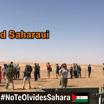 Noticias del SAHARA OCCIDENTAL – 19/11/2025 – La Actualidad Saharaui