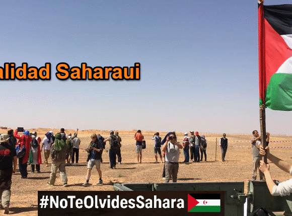 cfv vgb bhygfds (1) Noticias del SAHARA OCCIDENTAL – 19/11/2025 – La Actualidad Saharaui