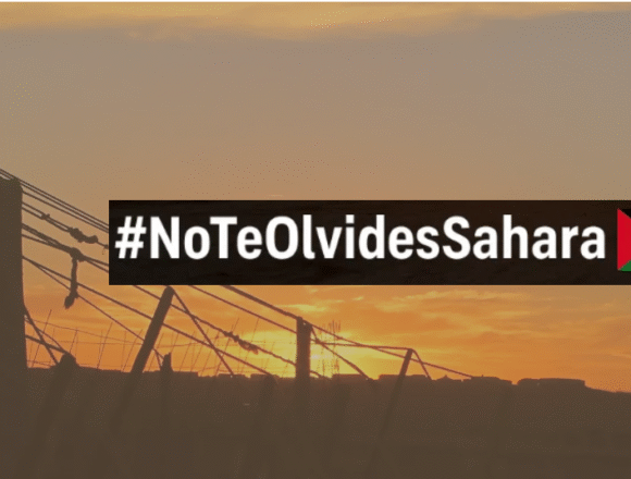 delsa1 La causa saharaui en la prensa española de hoy: 50 años después, la solidaridad sigue viva