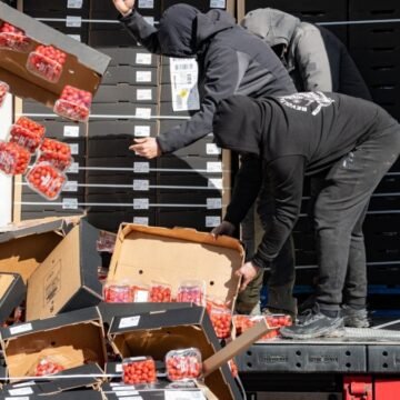 Rechazo rotundo del PP al etiquetado pactado por la UE y Marruecos para «ocultar» el Sáhara Occidental como país de origen