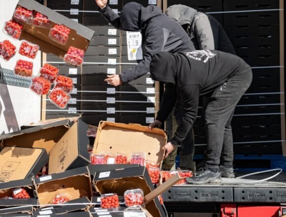 europapress-5786466-agricultores-tiran-tomates-origen-marroqui-camion-dia-cortado-ap-7-altura-1200x675-1 Rechazo rotundo del PP al etiquetado pactado por la UE y Marruecos para «ocultar» el Sáhara Occidental como país de origen