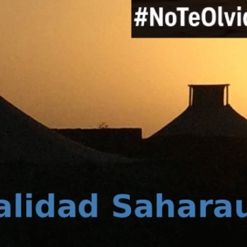 Noticias del SAHARA OCCIDENTAL – 17/11/2025 – La Actualidad Saharaui