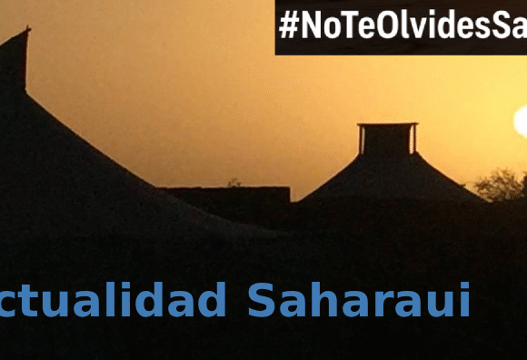 Noticias del SAHARA OCCIDENTAL – 17/11/2025 – La Actualidad Saharaui