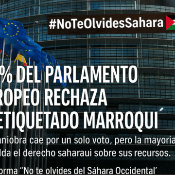 sadfghfeef Noticias del SAHARA OCCIDENTAL – 27/11/2025 – La Actualidad Saharaui