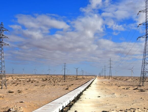sahara-espaol-54474798171-o-1200x675-1 Cincuenta años de ocupación y expolio: el espejismo verde del Sáhara Occidental