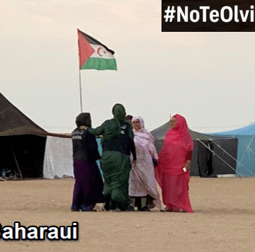 Noticias del SAHARA OCCIDENTAL – 20/11/2025 – La Actualidad Saharaui