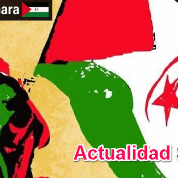Noticias del SAHARA OCCIDENTAL – 28/11/2025 – La Actualidad Saharaui