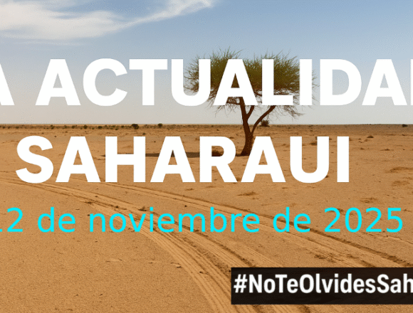sdfewedsfwqedsw Noticias del SAHARA OCCIDENTAL – 12/11/2025 – La Actualidad Saharaui