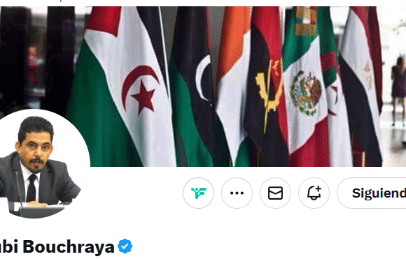 Pourquoi il ne faut pas se focaliser uniquement sur le côté négatif de la résolution du Conseil de sécurité sur le Sahara occidental