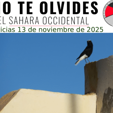 Noticias del SAHARA OCCIDENTAL – 13/11/2025 – La Actualidad Saharaui