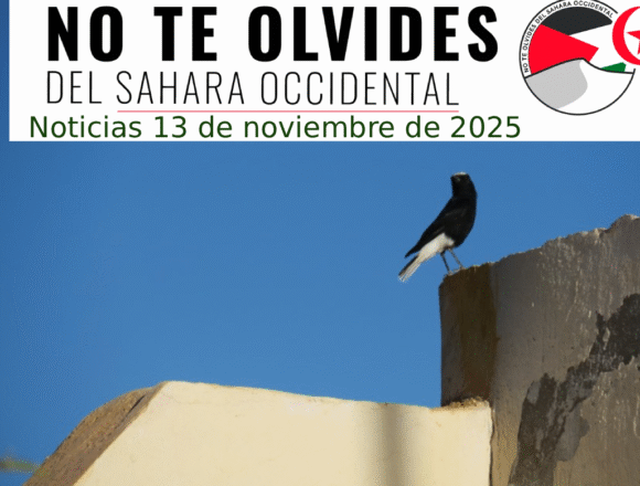 zsdfgvfrgfrg Noticias del SAHARA OCCIDENTAL – 13/11/2025 – La Actualidad Saharaui