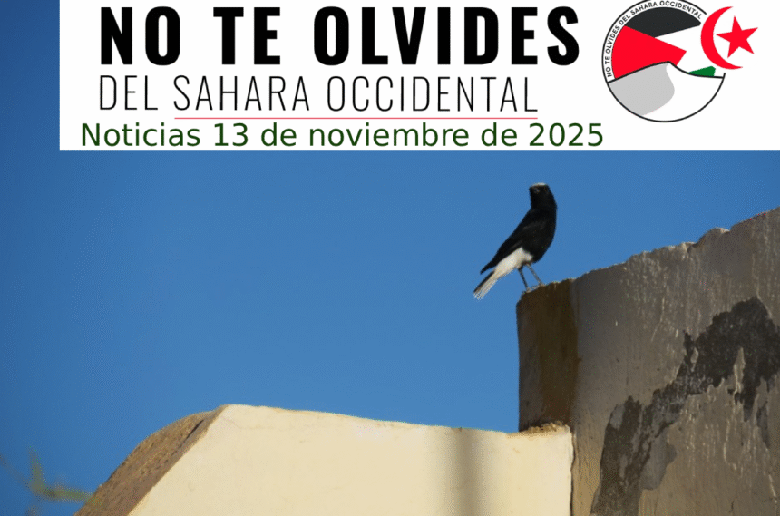 Noticias del SAHARA OCCIDENTAL – 13/11/2025 – La Actualidad Saharaui
