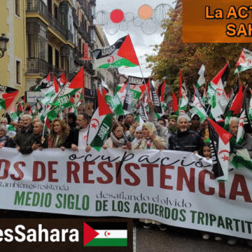 Noticias del SAHARA OCCIDENTAL – 16/11/2025 – La Actualidad Saharaui