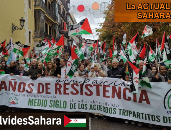Noticias del SAHARA OCCIDENTAL – 16/11/2025 – La Actualidad Saharaui
