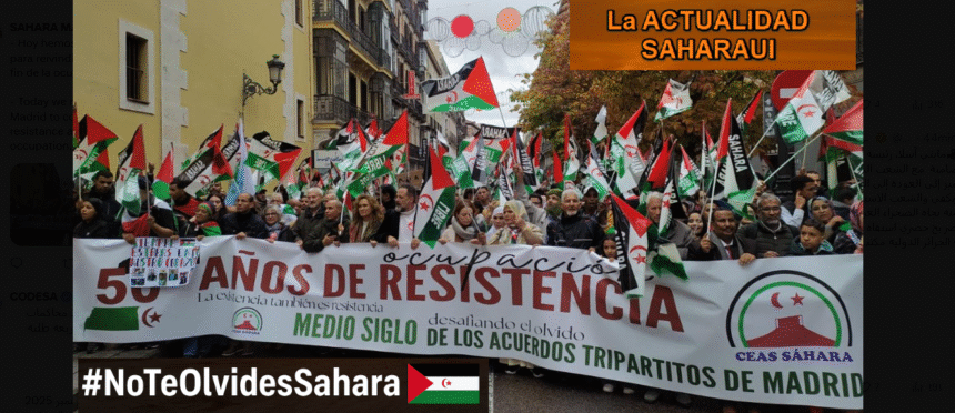 zxcxzxc (1) (1) Noticias del SAHARA OCCIDENTAL – 16/11/2025 – La Actualidad Saharaui