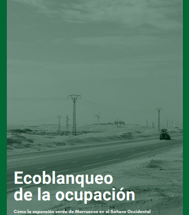 ECOBLANQUEO DE LA OCUPACIÓN: Recomendaciones de WSRW a las empresas que participan en proyectos en el Sáhara Occidental ocupado