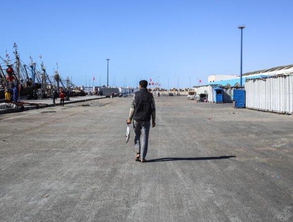 WSRW destapa la “ocupación certificada”: cómo las etiquetas de calidad blanquean el expolio del Sáhara Occidental