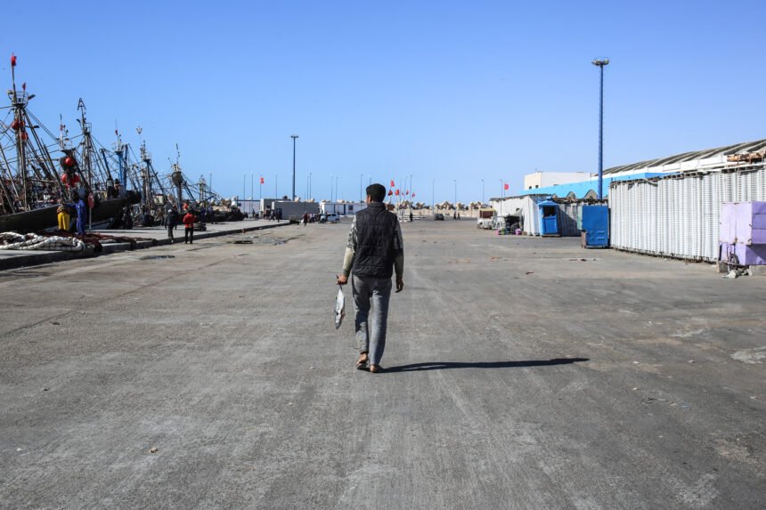 Fish plunder in Western Sahara WSRW destapa la “ocupación certificada”: cómo las etiquetas de calidad blanquean el expolio del Sáhara Occidental