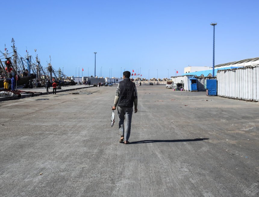 WSRW destapa la “ocupación certificada”: cómo las etiquetas de calidad blanquean el expolio del Sáhara Occidental