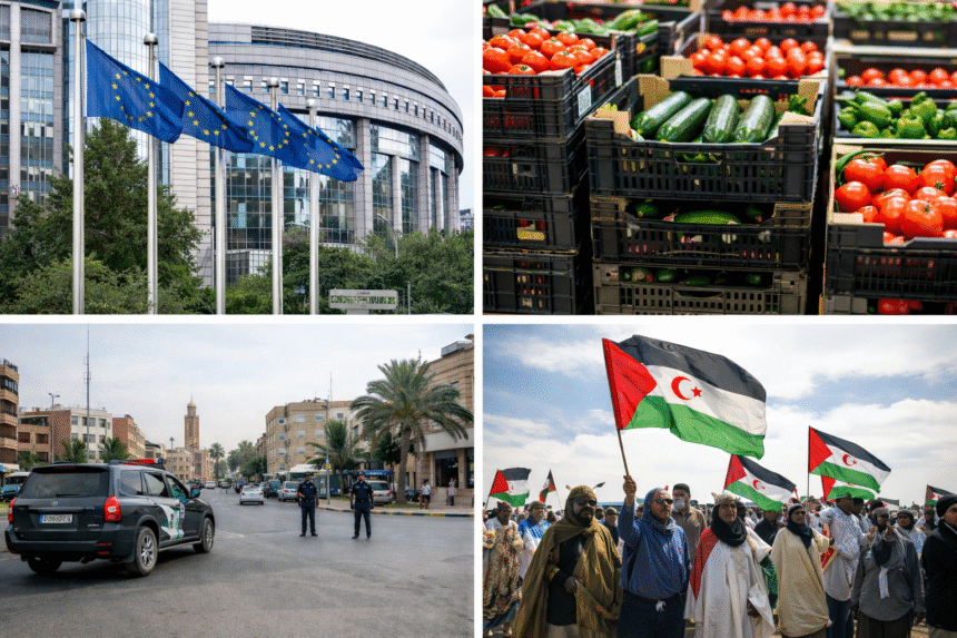 Balance 2025 | Sáhara Occidental: Europa y la política de mirar hacia otro lado (8)