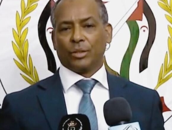 71123e16-bd0d-42e6-b4c0-7e08bb2b25f9-1 El ministro marroquí de Asuntos Exteriores en sus ansias expansionistas, confunde autodeterminación con referéndum | Sahara Press Service (SPS)