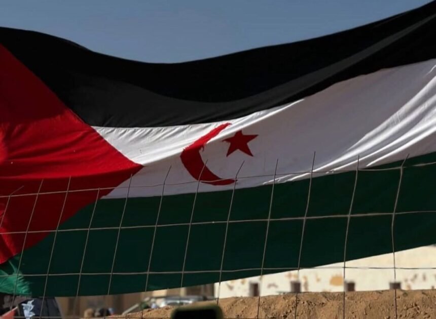 La tergiversación de resolución 2797, la estrategia actual que persigue Rabat para capitalizar apoyo en el Sáhara Occidental – Mhamad Bujari en ECSAHARAUI