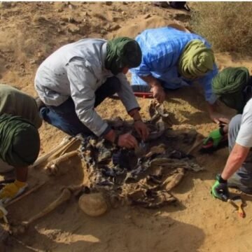 AFAPREDESA denuncia la situación colonial del Sáhara Occidental y la responsabilidad de España como Potencia Administradora