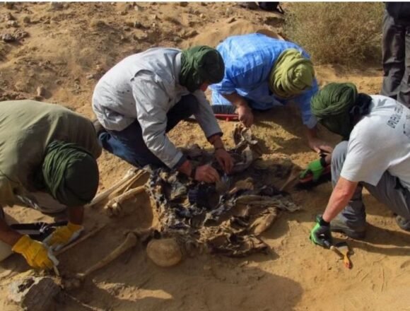 AFAPREDESA denuncia la situación colonial del Sáhara Occidental y la responsabilidad de España como Potencia Administradora