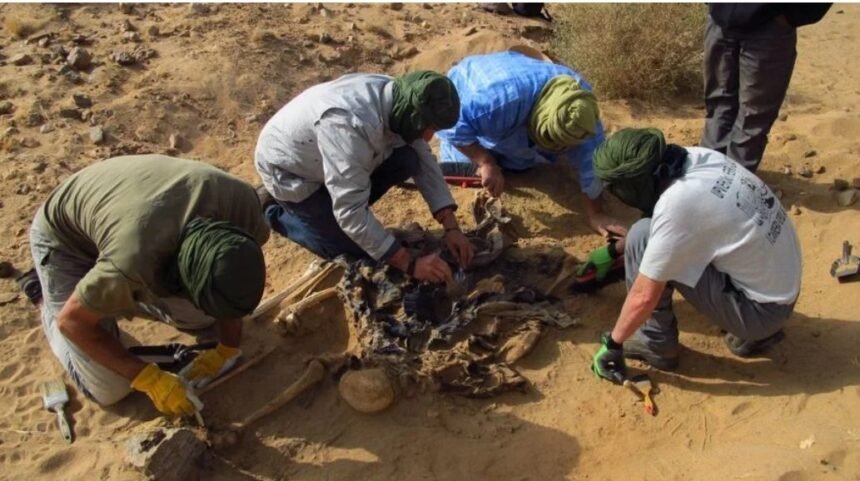 AFAPREDESA denuncia la situación colonial del Sáhara Occidental y la responsabilidad de España como Potencia Administradora