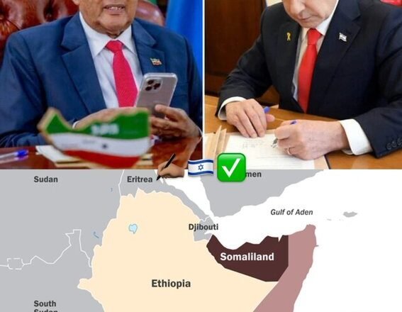 Somalilandia y el Sáhara Occidental: la intangibilidad de las fronteras africanas frente al doble rasero diplomático
