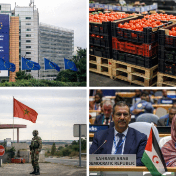 acfaf52f-8565-4783-9b12-f13125d37c2c Bilan 2025 | Sahara occidental : l’Europe et la politique du regard détourné (8)