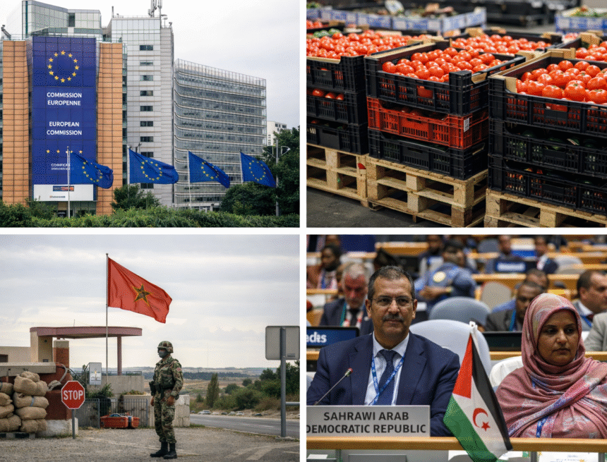Bilan 2025 | Sahara occidental : l’Europe et la politique du regard détourné (8)