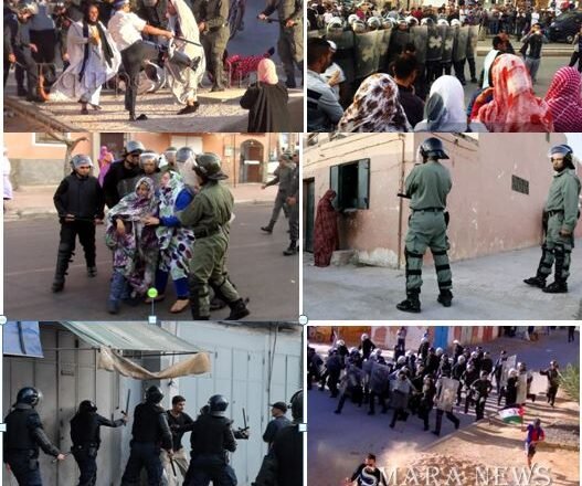 Derechos Humanos – Noviembre Saharaui | Contramutis