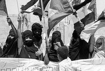 cp-manifestacion-sahara-colonial 50 años de la Declaración de Guelta y la creación del Consejo Nacional Saharaui – lluisrodricap