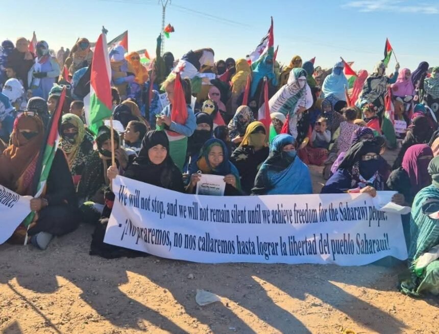 Bilan 2025 | Sahara occidental : quand l’occupation a besoin du silence (6)